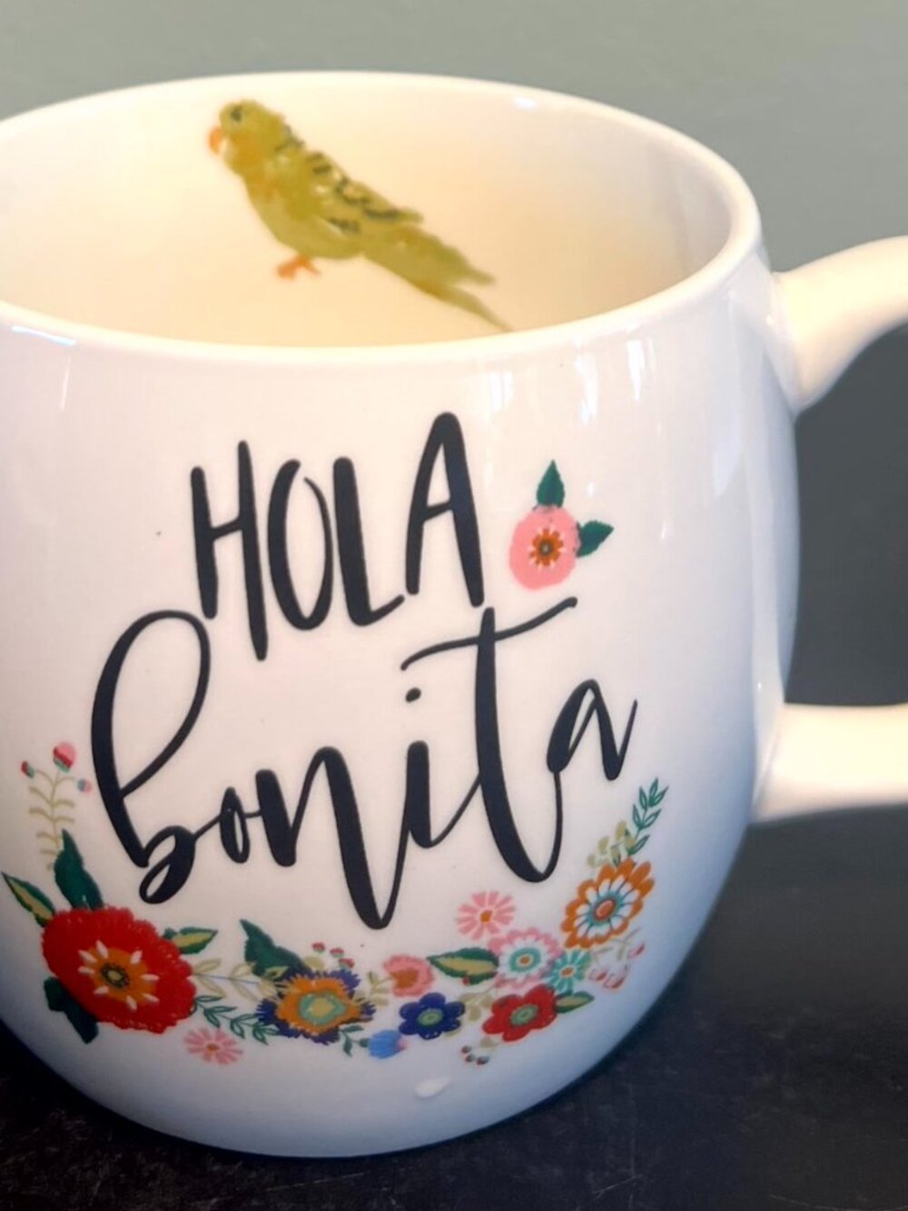 Opalhouse HOLA BONITA Spanish Floral Mug Cup Inside Green Parakeet Parrot 16oz